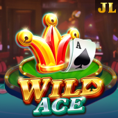 Wild Ace at ace58